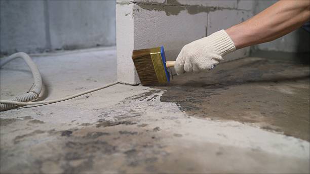 Top rated local Waterproofing specialists in Meridianville, AL